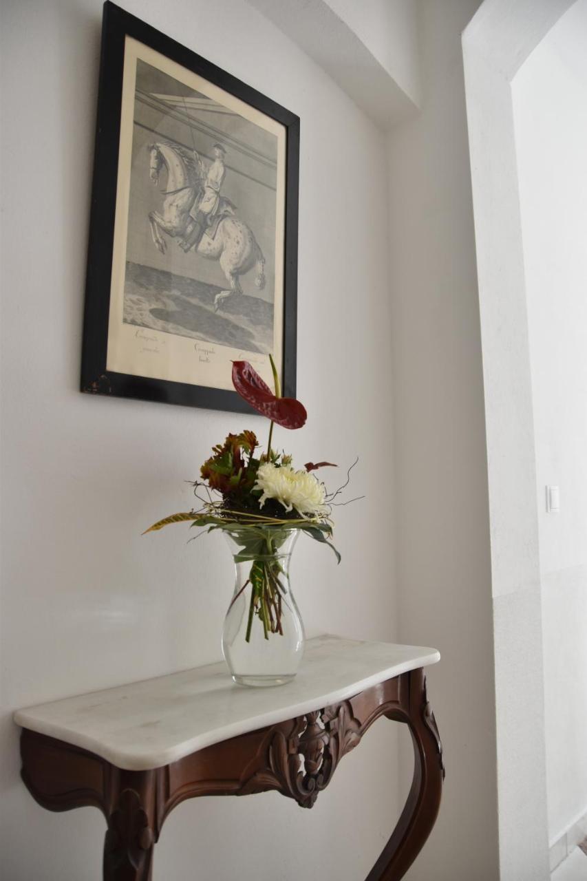 Apartmenthaus Albrechtsburg Bad Schandau Esterno foto